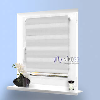 Жалюзи день-ночь Silver